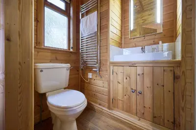 a wooden bathroom with a toilet and a sink at Dunnock Lodge with Hot-tub in Carlisle