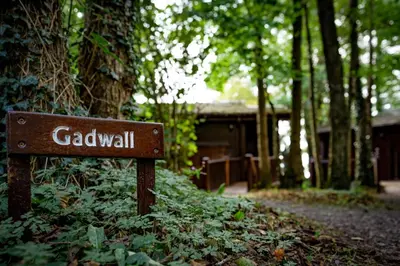 a sign in the middle of a forest with a building at Gadwall Lodge with Hot-tub in Carlisle