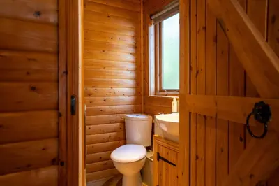 a bathroom with a toilet and a sink at Heron Lodge with Hot-tub in Carlisle