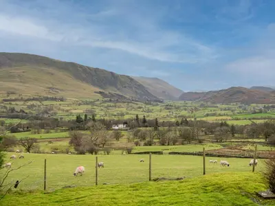 a herd of sheep grazing in a grassy field at 3 Bed in Threlkeld SZ217 in Threlkeld
