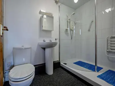 a bathroom with a toilet and a shower and a sink at 1 Bed in Troutbeck SZ254 in Troutbeck