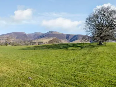 a tree in a field with mountains in the background at 1 Bed in Keswick oc-82550 in Keswick