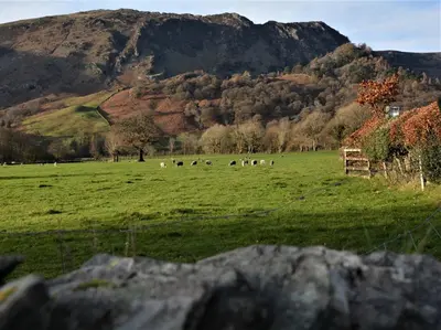 a herd of animals grazing in a field with a mountain at 1 Bed in Rosthwaite 86245 in Rosthwaite