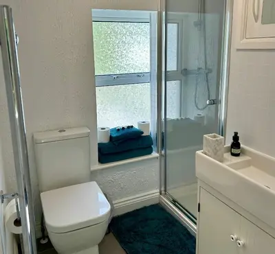 a bathroom with a shower and a toilet and a sink at The Cottage, Bridge House in Laxey