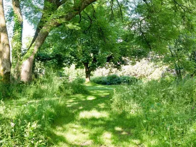 a field of grass with trees in the background at 6 Bed in Workington oc-sz151 in Lamplugh