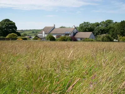 a field of tall grass in front of a house at 3 Bed in Egremont oc-sz230 in Hale