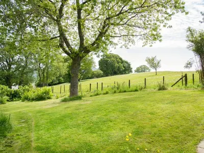 a tree in a field with a fence at 3 Bed in Keswick oc-sz142 in Portinscale