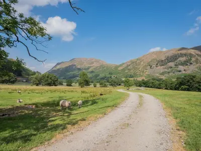 a group of animals grazing in a field next to a dirt road at 2 Bed in Patterdale SZ470 in Patterdale