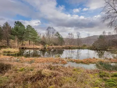 a pond in the middle of a field with trees at 5 Bed in Holmrook oc-sz259 in Eskdale