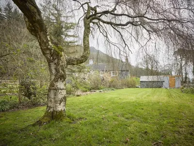 a tree in a field with a house in the background at 3 Bed in Keswick oc-sz169 in Applethwaite