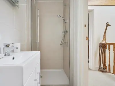 a bathroom with a sink and a shower with a giraffe at 2 Bed in Keswick oc-sz279 in Keswick