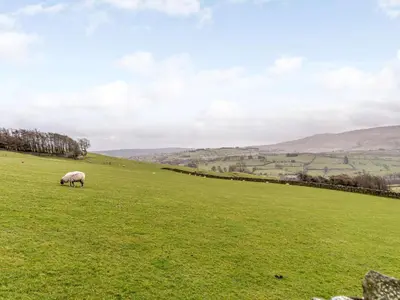 a sheep grazing in a field of green grass at 2 Bed in Caldbeck 80562 in Caldbeck