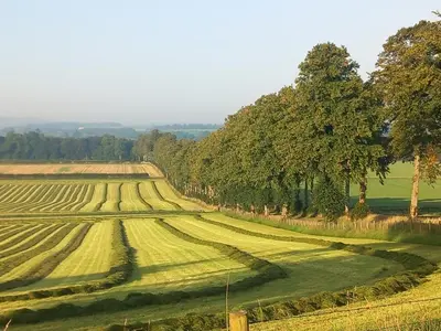 a field of crops with trees in the background at The Mad Hatter's Shepherd's Hut in Carlisle