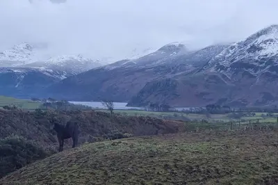 a horse standing on a hill with mountains in the background at Luxury Lake District Retreat above Ennerdale in Kirkland