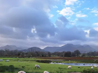 a herd of sheep grazing in a field at 1 Bed in Watermillock 94065 in Watermillock