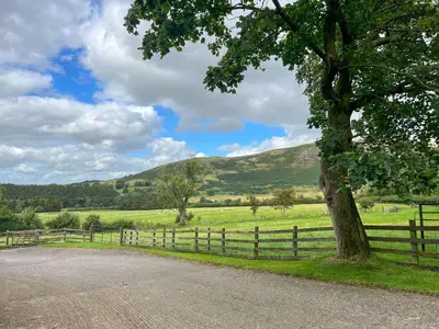 a tree next to a fence and a field at Bassenthwaite Farm Cottage, on a working farm in a tranquil setting in Bassenthwaite