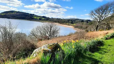 a view of a body of water with flowers in a field at The Well in Mainsriddle