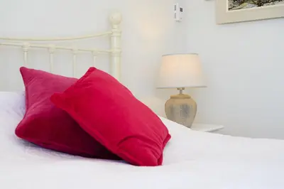 two red pillows on a white bed with a lamp at The Well in Mainsriddle