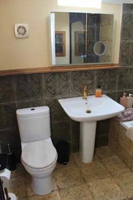 a bathroom with a toilet and a sink and a mirror at Holmlea Cottage in Moffat