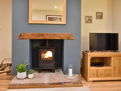 a living room with a fireplace and a tv at Pippa's Cottage - Uk42332 in Little Blencow