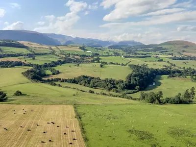 an overhead view of a field with animals in it at The Gardener's Bothy in Penrith