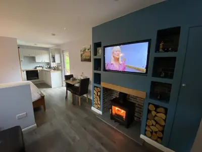a living room with a fireplace and a flat screen tv at Laigh Letterpin Lodge in Girvan