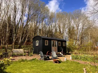 a black tiny house in the middle of a yard at Archie the shepherd’s hut in Penruddock
