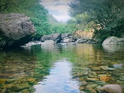 a river with rocks in the water and trees at The Duddon Nest in Ulpha