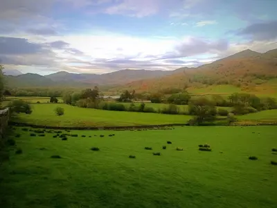 a herd of animals grazing in a green field at The Duddon Nest in Ulpha