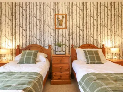 two beds in a bedroom with trees on the wall at Glen View in Dumfries