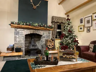 a living room with a christmas tree and a fireplace at Glen View in Dumfries