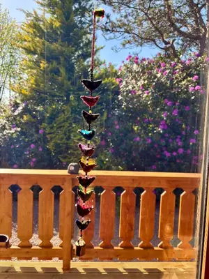 a group of butterflies on a pole on a balcony at Kipplochan in Dalbeattie
