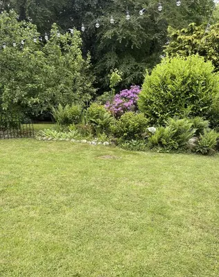 a garden with a bunch of bushes and flowers at Stunning 2-bedroomed Cottage in Cockermouth