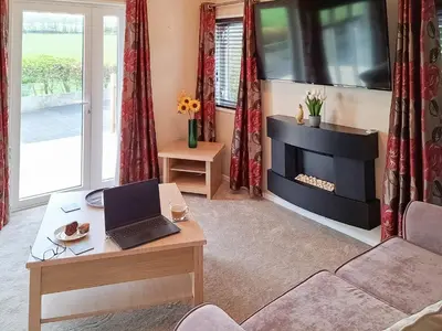 a living room with a fireplace and a laptop on a table at Forrest Lodge in Plumbland