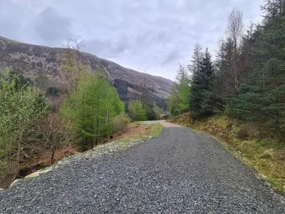 a gravel road with trees on the side of a mountain at The Nest by Blake view holidays, a peaceful boutique retreat, 3 miles from Ennerdale- small twin or king bed available in Rowrah