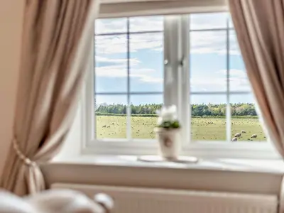 a window with a view of a field of cows at 2 Bed in Cockermouth 94787 in Broughton Moor