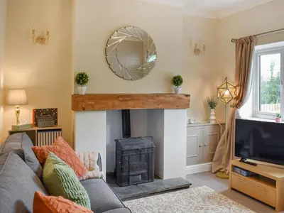 a living room with a fireplace and a mirror at Reed Cottage in Aspatria