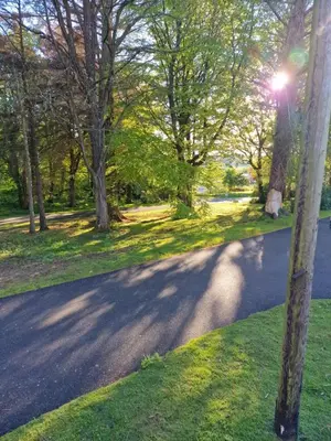 a tree lined street with a street light in a park at The Forest Cabin Holiday Home 15 in Ballantrae