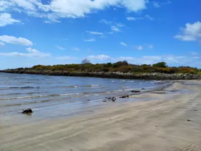 a beach with a rocky shoreline and the ocean at Birds Nest in Gatehouse of Fleet