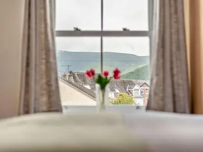 a vase with red flowers in front of a window at 3 Bed in Keswick oc-95032 in Keswick