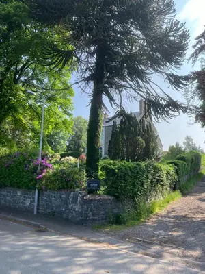 a tree in a stone wall next to a street at Above & Beyond at Warriston Lodge in Moffat