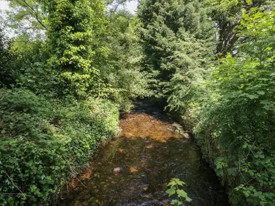 a stream in the middle of a forest with trees at Gardeners Cottage in Millom