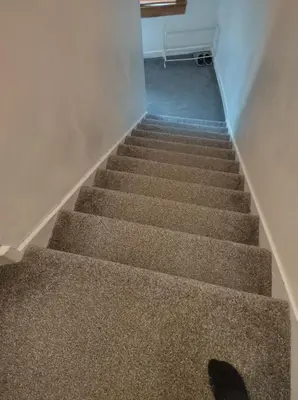 a stairway with a dog poop crawling up the stairs at Kumba in Kilmarnock