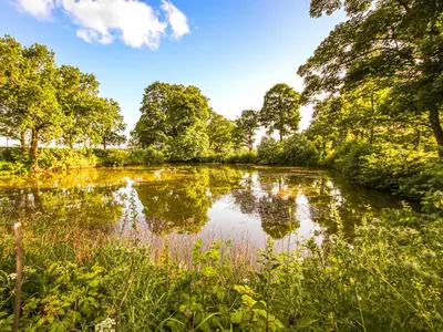 a pond in the middle of a park with trees at The Bothy in Ivegill