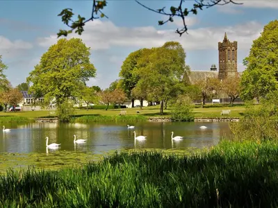 a flock of swans swimming in a lake in a park at Charming Cosy Traditional Scottish Cottage - Pass the Keys in Castle Douglas