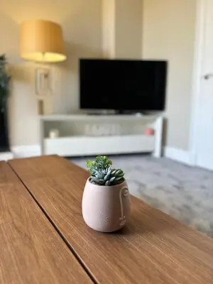 a small plant sitting on a table in a living room at Golfers Rest in Ayr