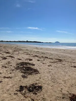a beach with a lot of seaweed on the sand at Wee Beach Hut Maidens in Maidens