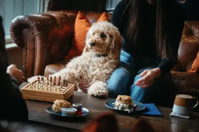 a dog sitting in front of a woman playing chess at The Inn At Grasmere in Grasmere