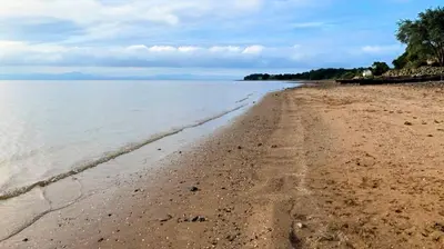 a beach with the shoreline of a body of water at Little Egret in Carsethorn