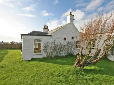 a white house on a green yard with a tree at East Cottage in Mainsriddle
